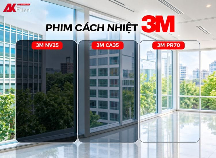 Phim cách nhiệt 3M cho nhà kính đa dạng dòng phim, đáp ứng nhu cầu chống nóng, giảm chói và tăng an toàn