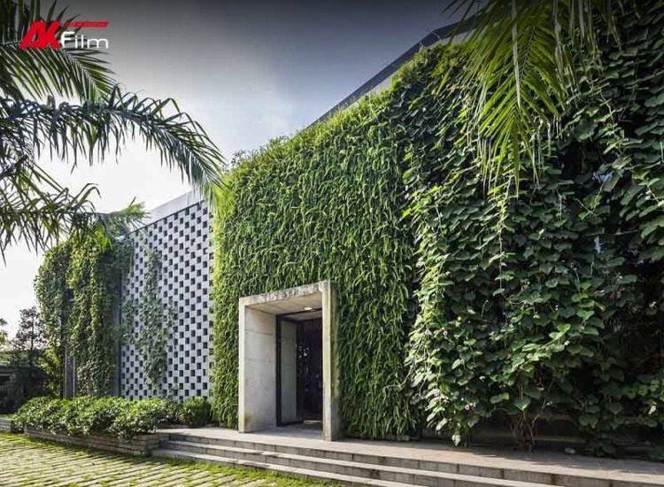 Nhà hướng Tây nên trồng cây xanh để chống nóng