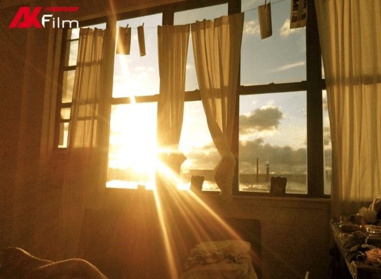Nguyên nhân khiến nhà kính bị nóng