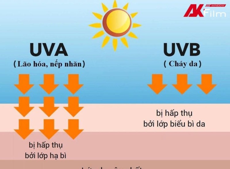 Các tia có trong tia UV gây hại cho da